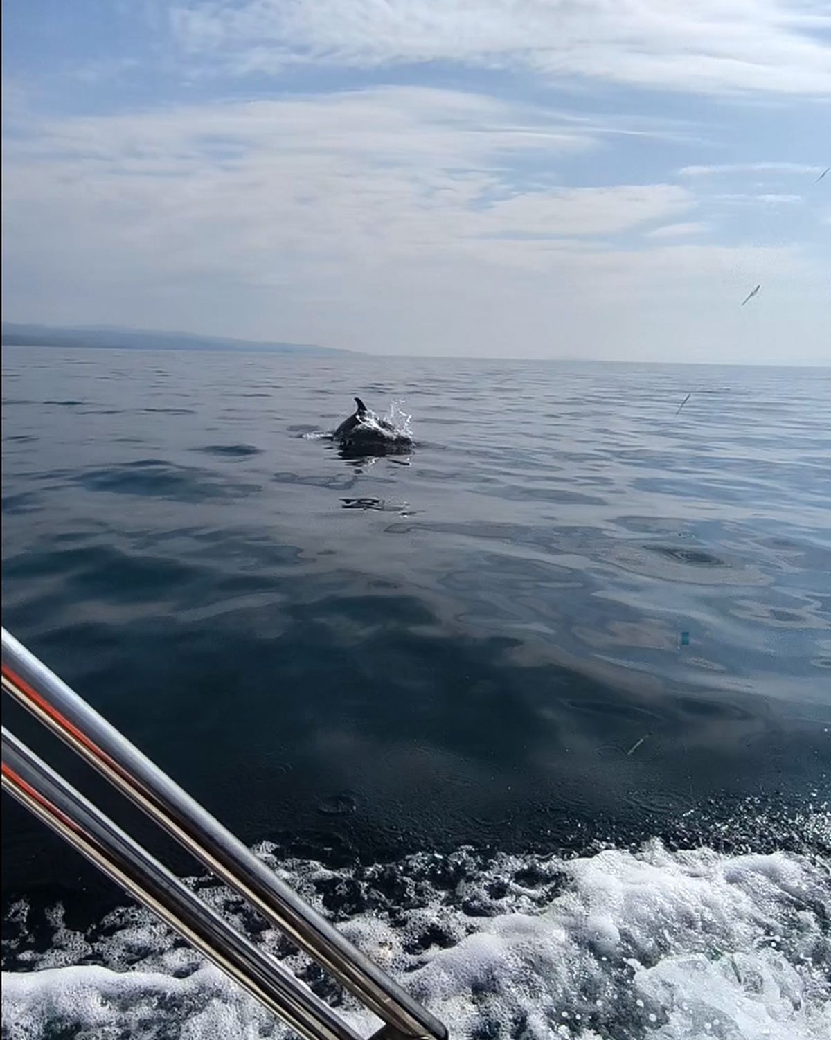 Gökçetepe\'de Yunus Görüntüleri