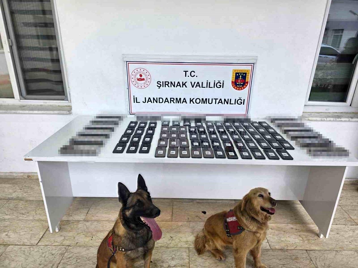 Şırnak\'ta Kaçakçılığa Büyük Darbe