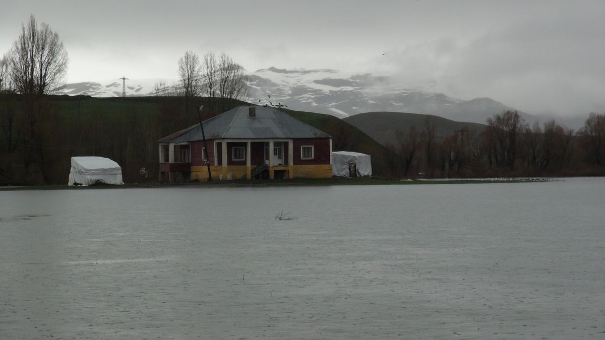 Yüksekova\'da Sel Felaketi: 22 Ev Su Altında