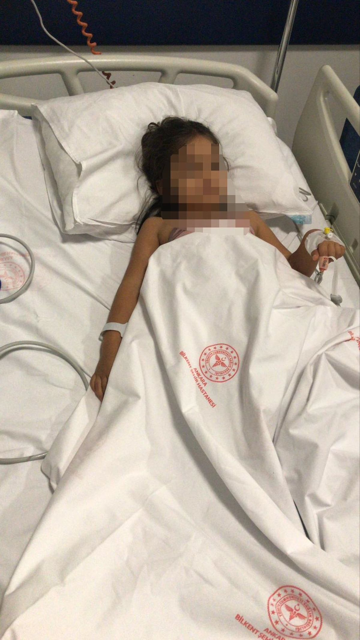 Pitbull Saldırısı Davası Başladı