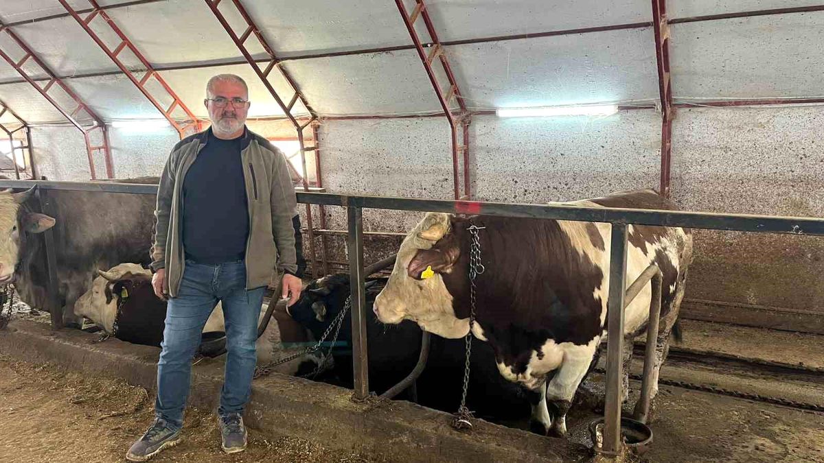 Artvin Besiciler Zor Günde