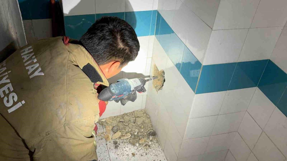 Bacadan düşerek mahsur kalan yavru kedi duvarın kırılmasıyla kurtarıldı