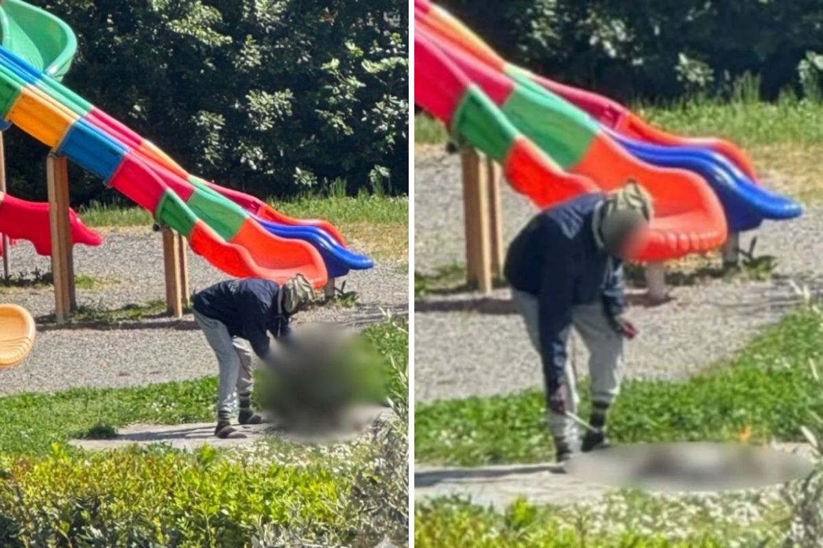 Çocuk parkında akılalmaz görüntü: Herkesin gözü önünde öldürdüğü kediyi pişirmeye çalıştı!