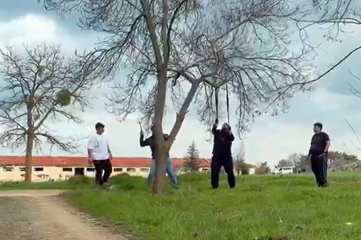 Eskişehir\'de \'mangal için ağaç dalını kırmaya çalıştılar\' iddiası