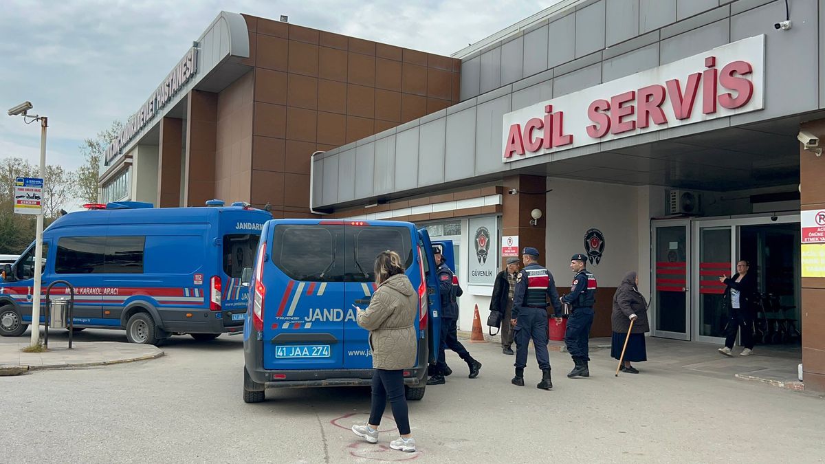 Kandıra Orman İşletme Şefliğine yolsuzluk operasyonu: Çok sayıda gözaltı var