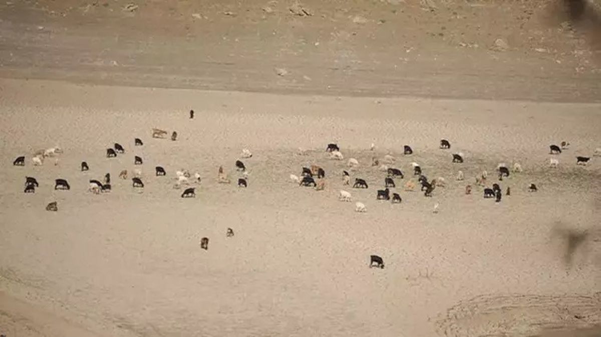 Demirtaş Barajı\'nda Su Seviyesi Yükseldi