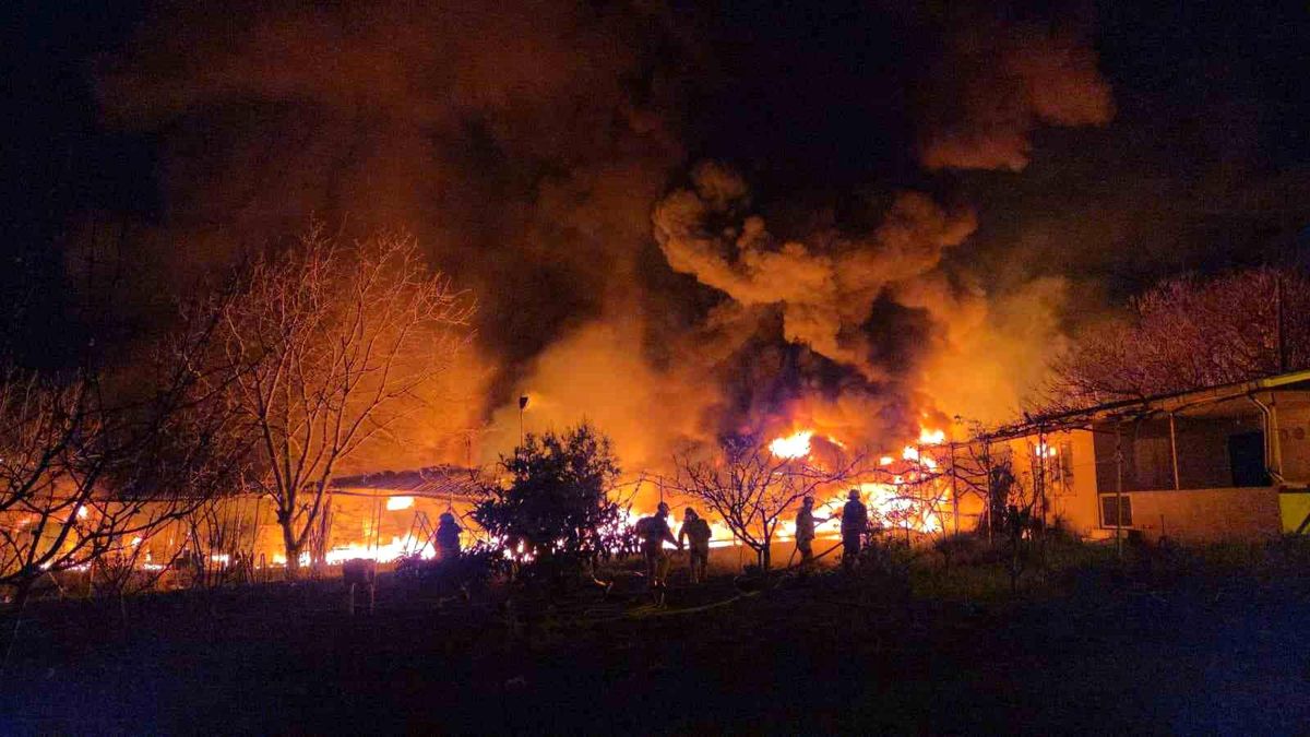 Muz deposu alevlere teslim oldu: 3 saatte kontrol altına alındı