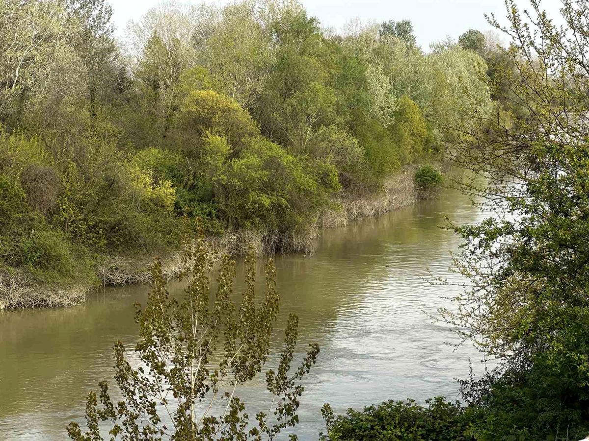 Sakarya Nehri\'nde kaybolan çocuk aranıyor
