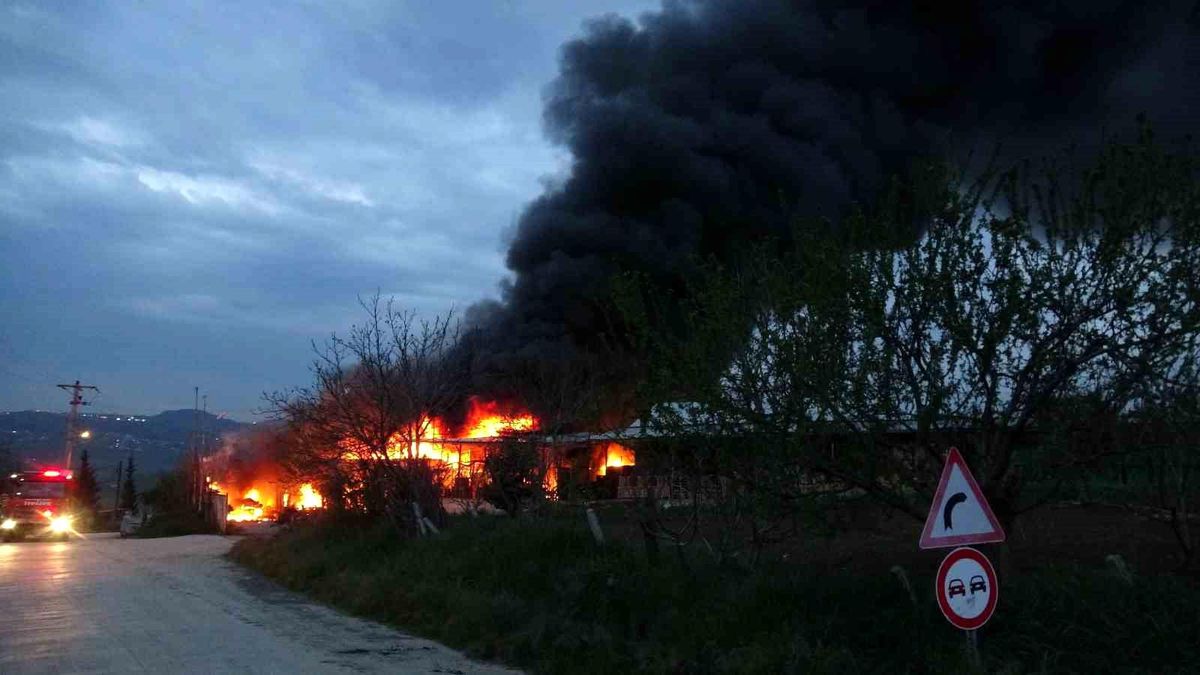 Atakum\'da Meyve Deposunda Yangın