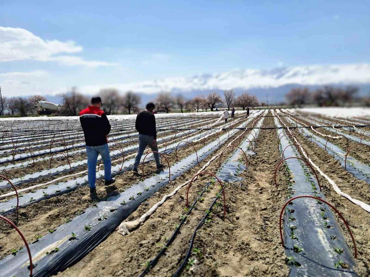 Erzincan\'da 100 Bin Fide Toprakla Buluştu