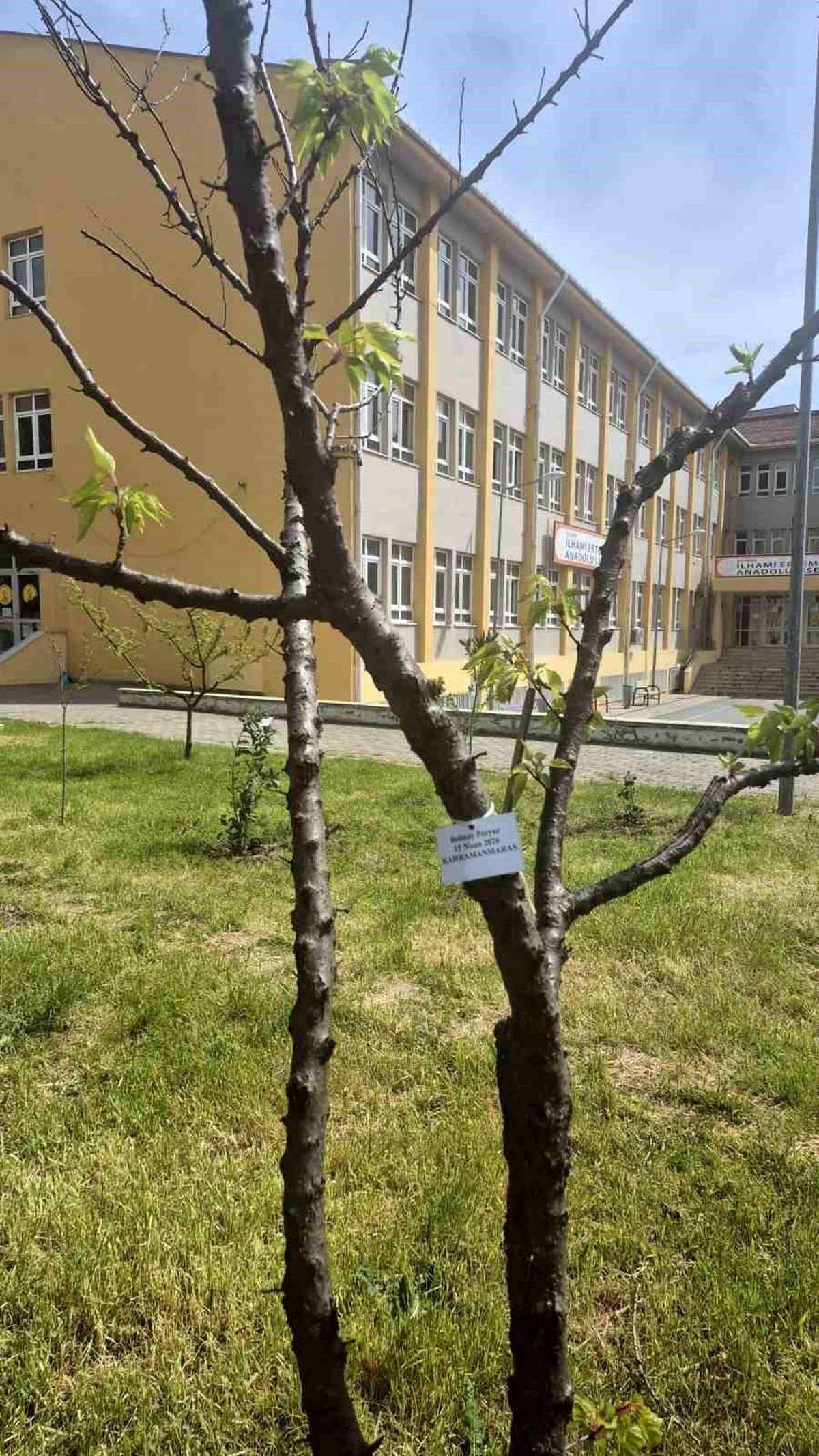 Edirne\'de Fidan Dikimiyle Anma Töreni