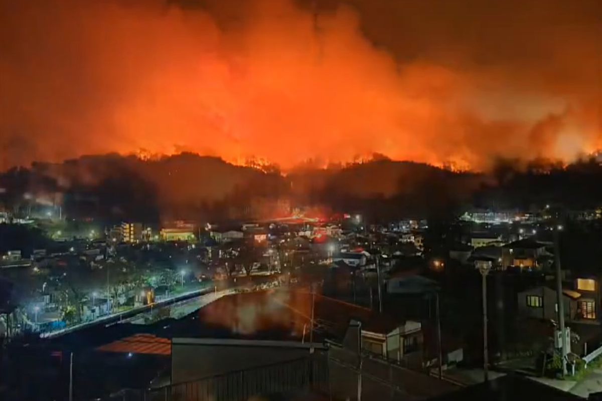 Japonya\'nın Iwate eyaletinde orman yangını