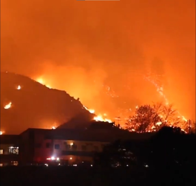 Japonya'nın Iwate eyaletinde orman yangını
