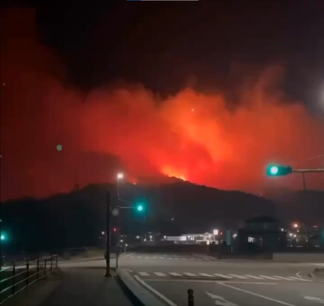 Japonya'nın Iwate eyaletinde orman yangını