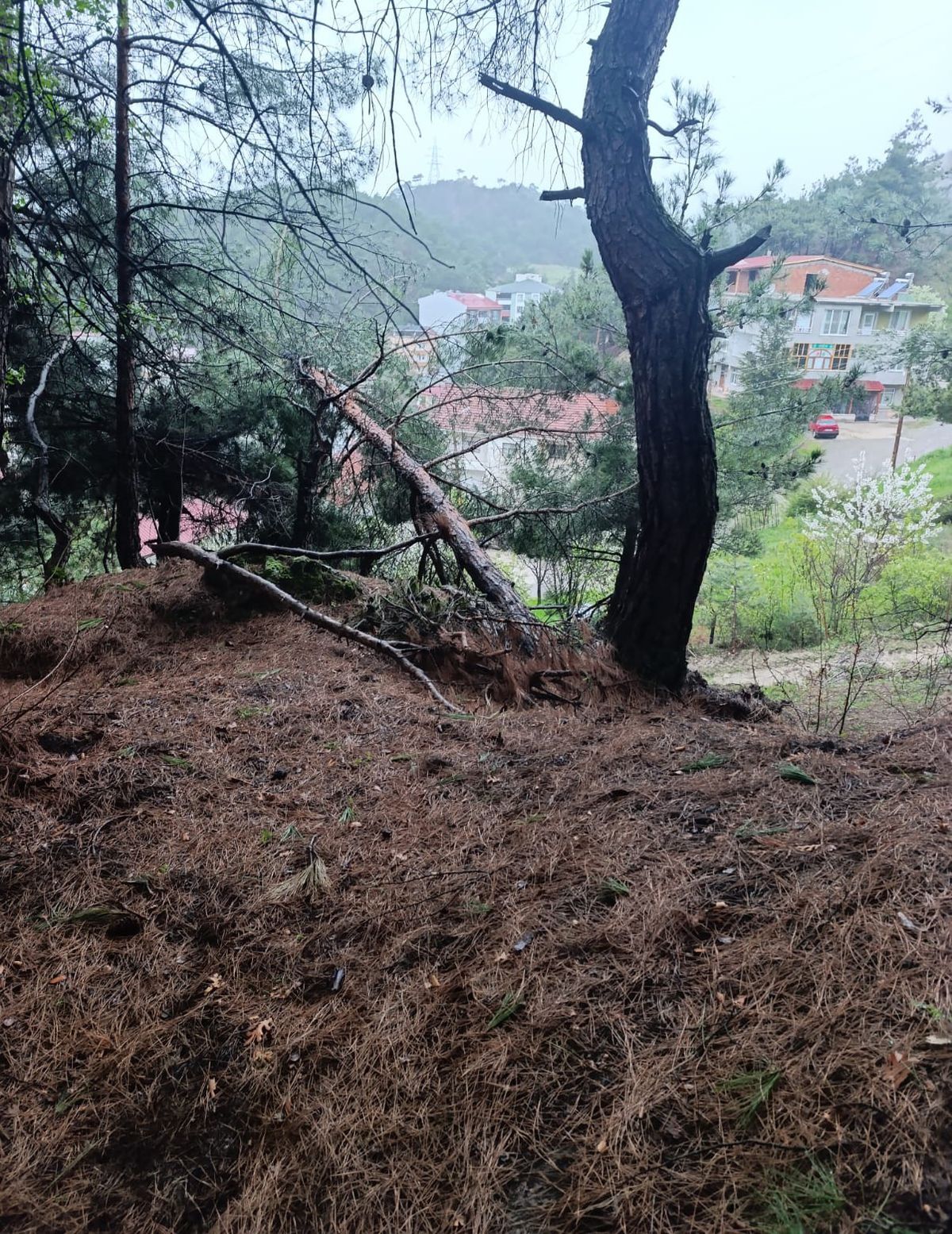 Reşadiye\'de Toprak Kayması: 15 Daire Tahliye Edildi