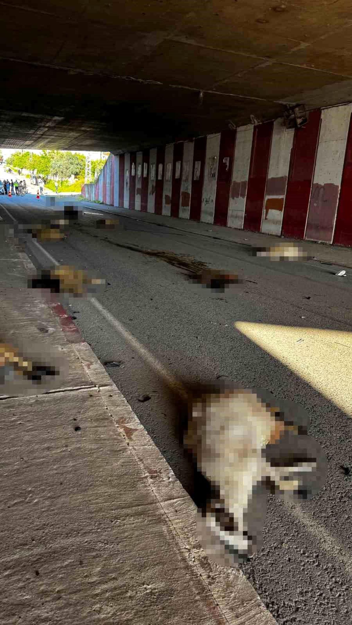 Hatay\'da Otomobil Koyun Sürüsüne Daldı