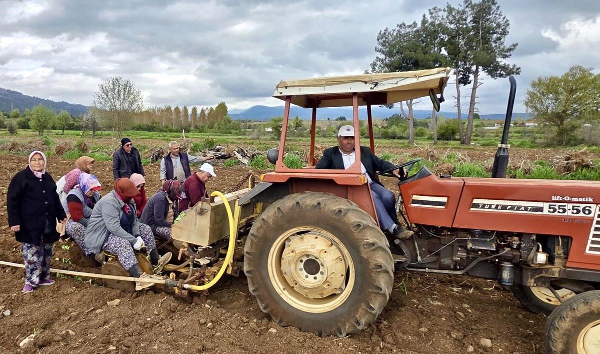 Başkan Pütün tütün sezonun başlamasıyla birlikte üreticiyle tarlada buluştu