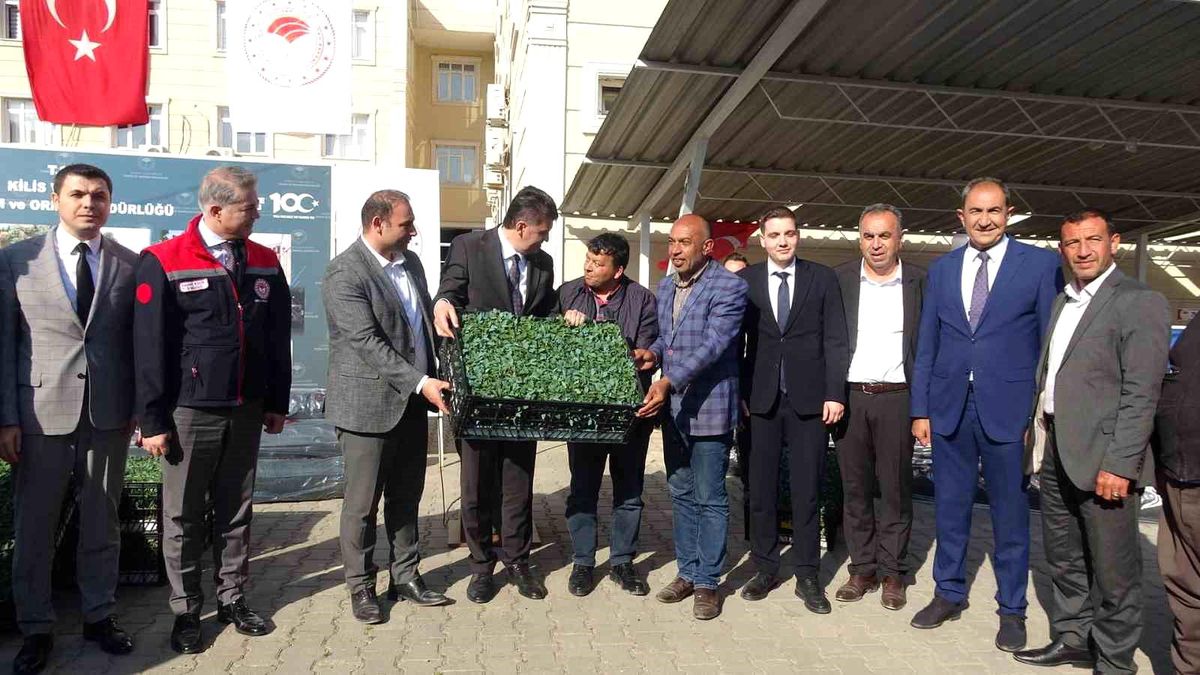 Kilis\'te 320 çiftçiye üzüm şalı, 250 çiftçiye 400 bin fide desteği