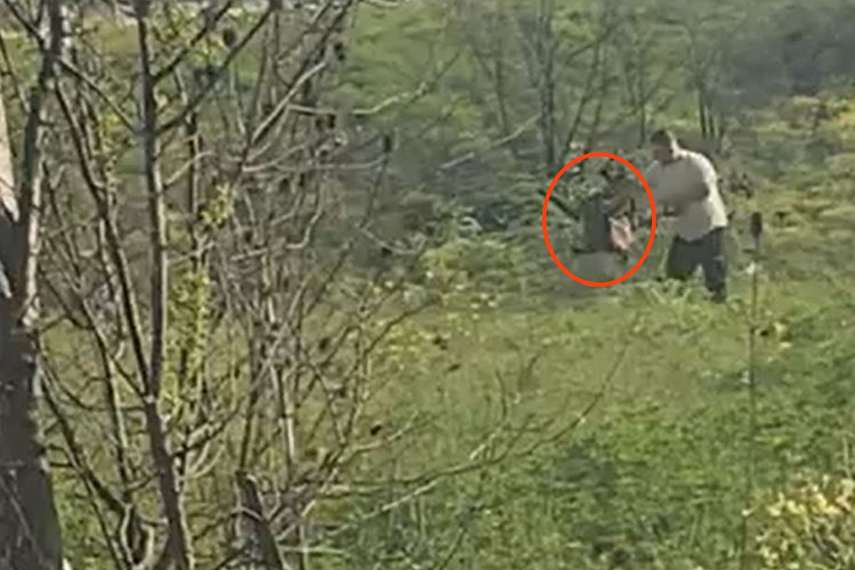 Avcılar\'da köpeğe kötü muamelede bulunan şahıs yakalandı