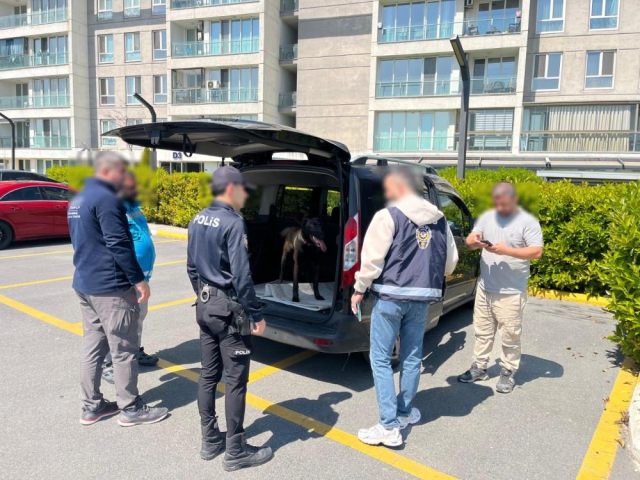 Avcılar'da köpeğe kötü muamelede bulunan şahıs yakalandı