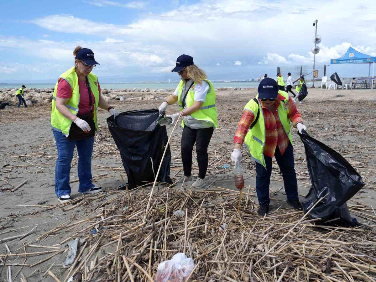 Tarsus\'ta kaplumbağalar için seferberlik