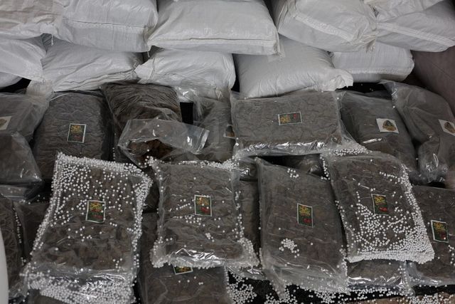 Türkiye ve Suriye'den ortak operasyon! Değeri tam 300 milyon TL