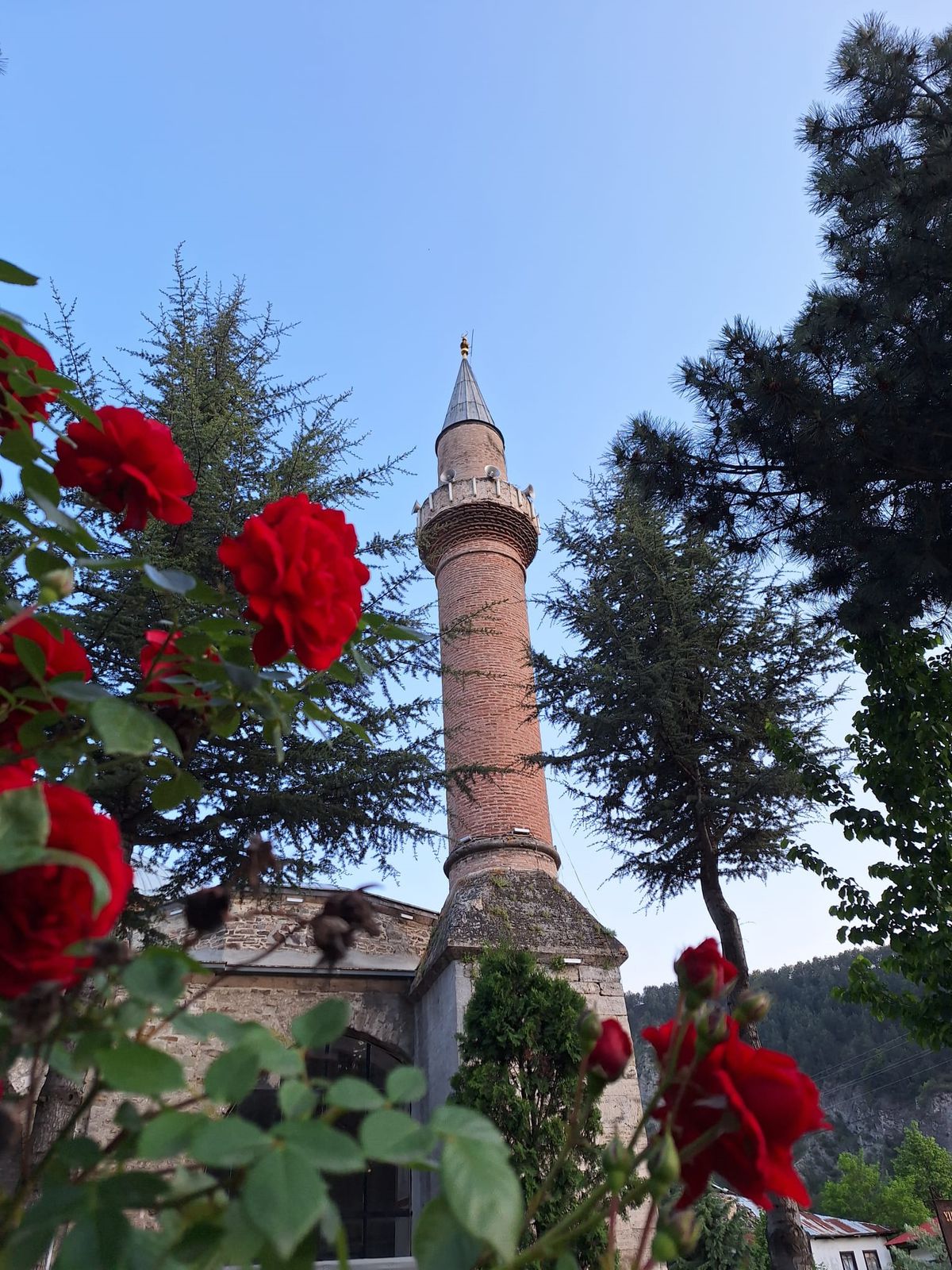 Camide Hediye Para Bıraktı