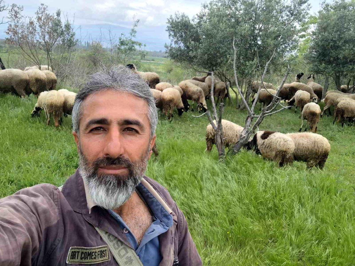 Kardeşler Hayvancılıkta Yeni Bir Başarı Yakaladı