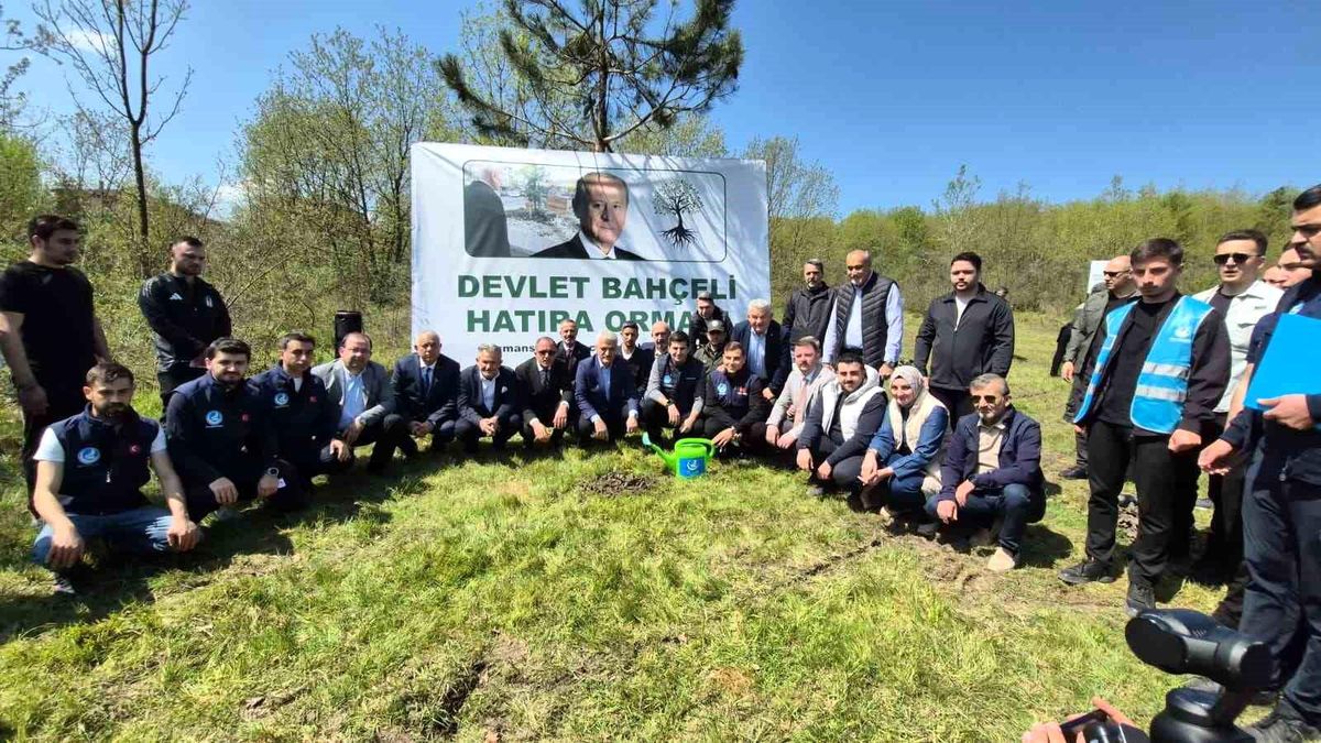 Düzce\'de Devlet Bahçeli Hatıra Ormanı\'na fidan dikildi