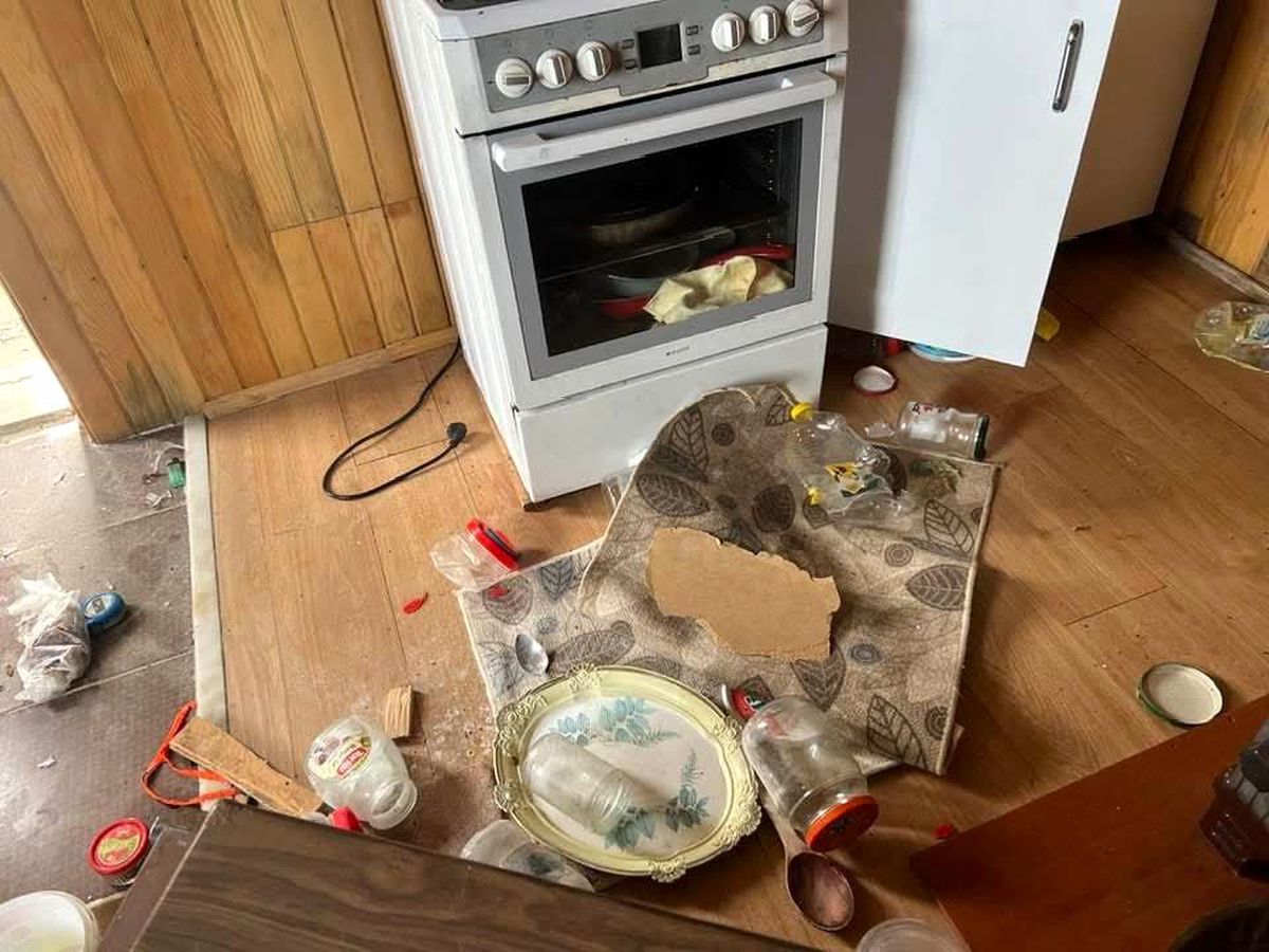 Yaylalara Ayı Saldırıları Artıyor