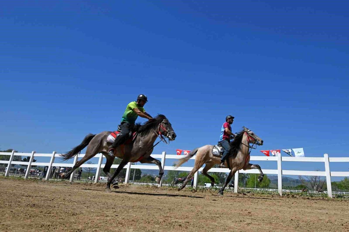 Osmangazi\'de 21. Rahvan At Yarışları Coşkusu