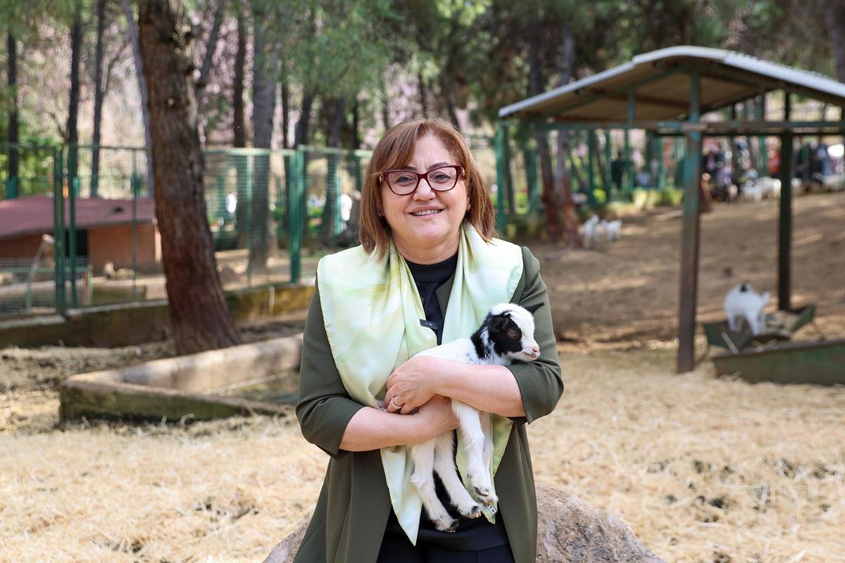 Türkiye’de doğan ilk zürafa yavrusu Gaziantep’te görücüye çıktı