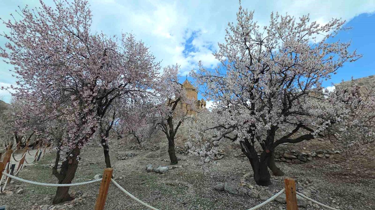 Akdamar Adası\'nda Bahar Şöleni