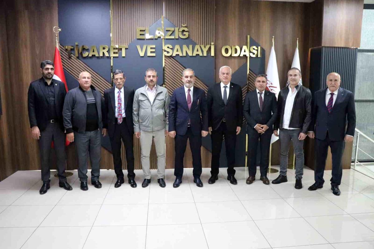 Karakoçan\'ın Sanayi Sorunları Valiye İletildi