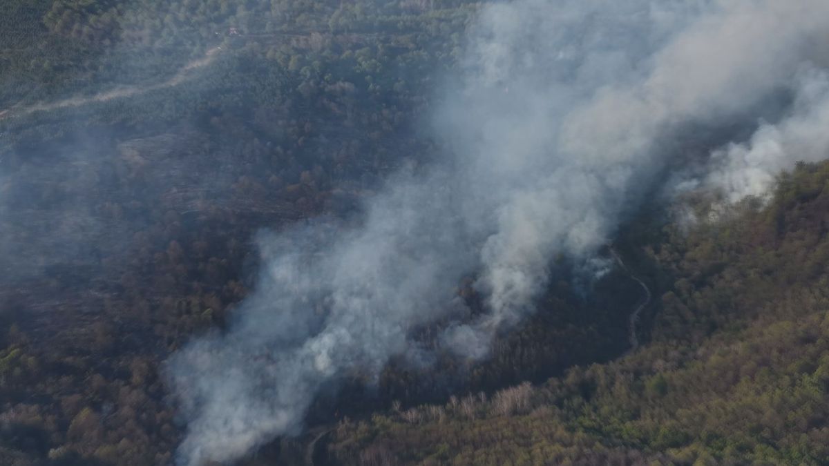 Beykoz’da ormanlık alanda yangın çıktı