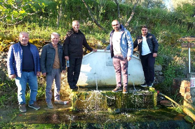 Burhaniye’de Zeytin Hasadı İçin Umutlar Artıyor
