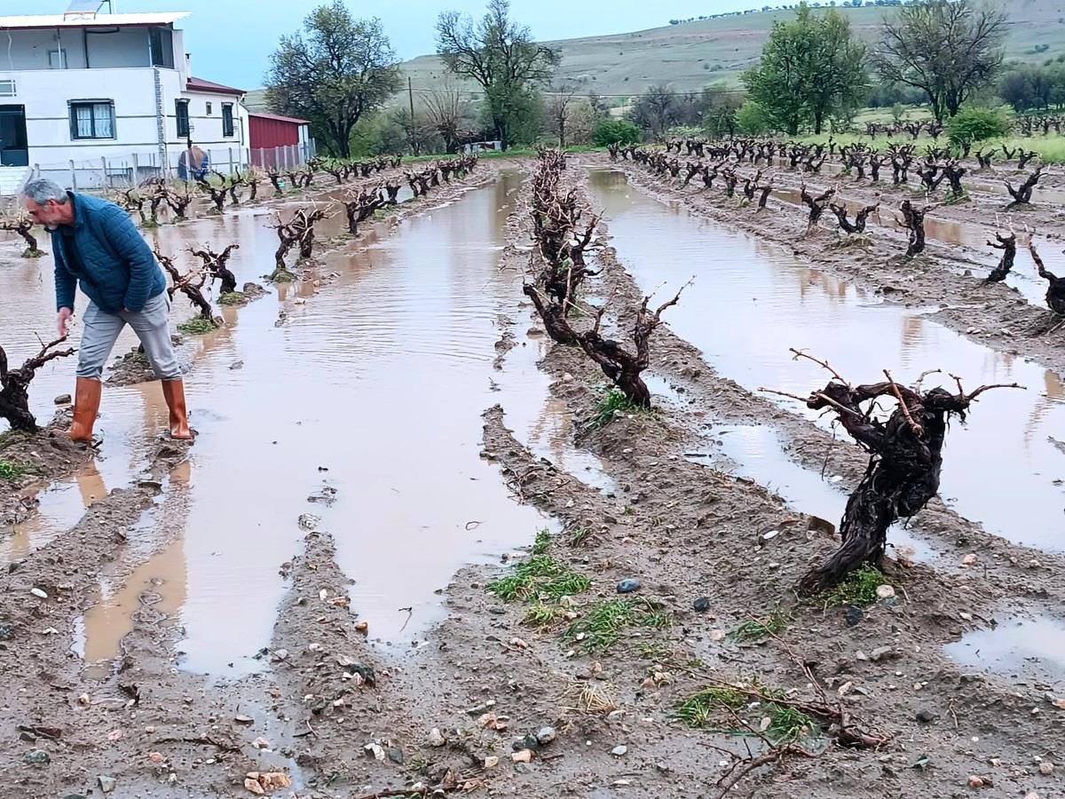 Elazığ\'da Dolu Hasar Tespiti Başladı