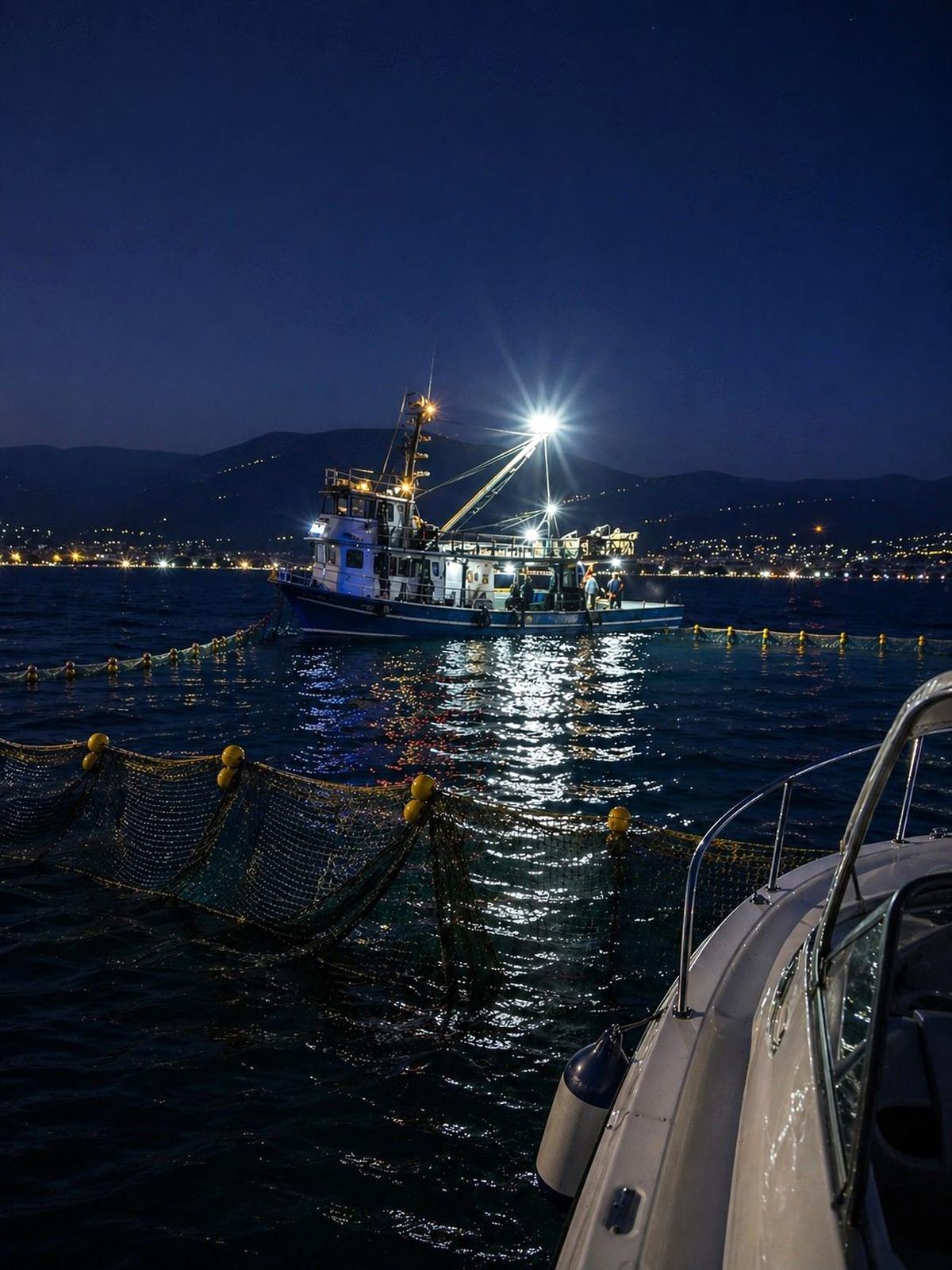 Gemlik Körfezi\'nde Sardalya Avcılığına Dikkat