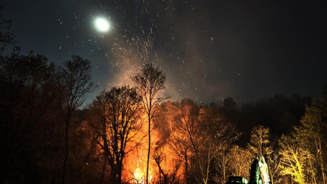 İstanbul Beykoz'daki orman yangını kontrol altına alındı