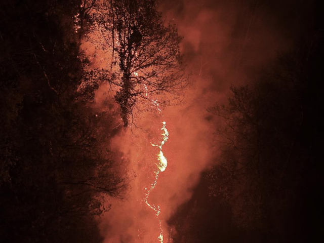 İstanbul Beykoz'daki orman yangını kontrol altına alındı