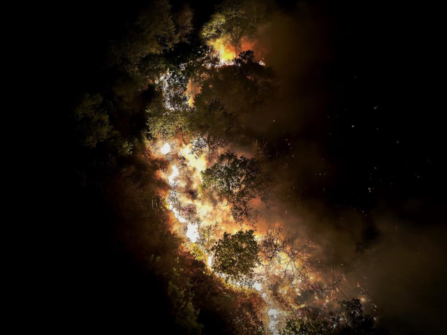 İstanbul Beykoz'daki orman yangını kontrol altına alındı