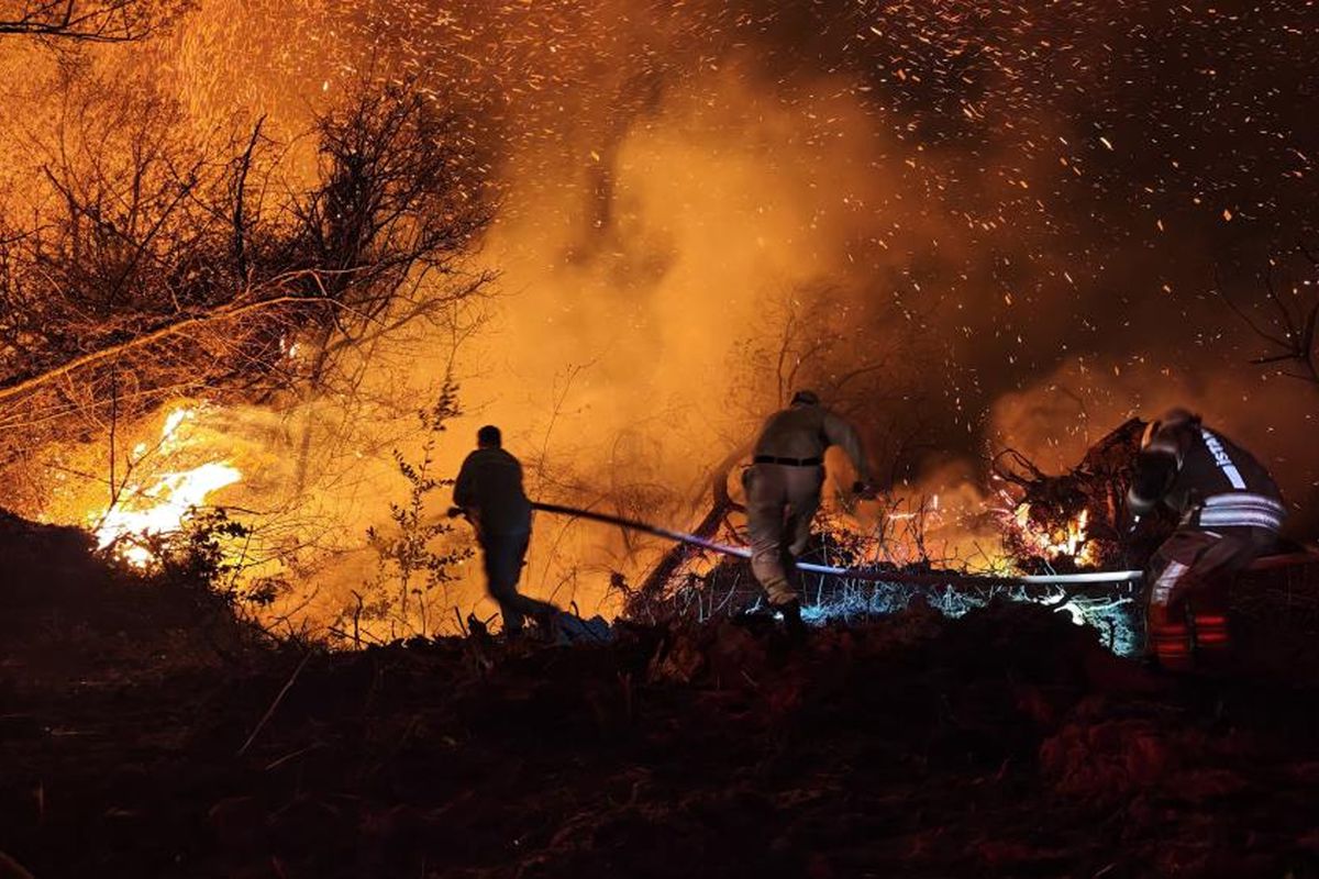 İstanbul Beykoz\'daki orman yangını kontrol altına alındı