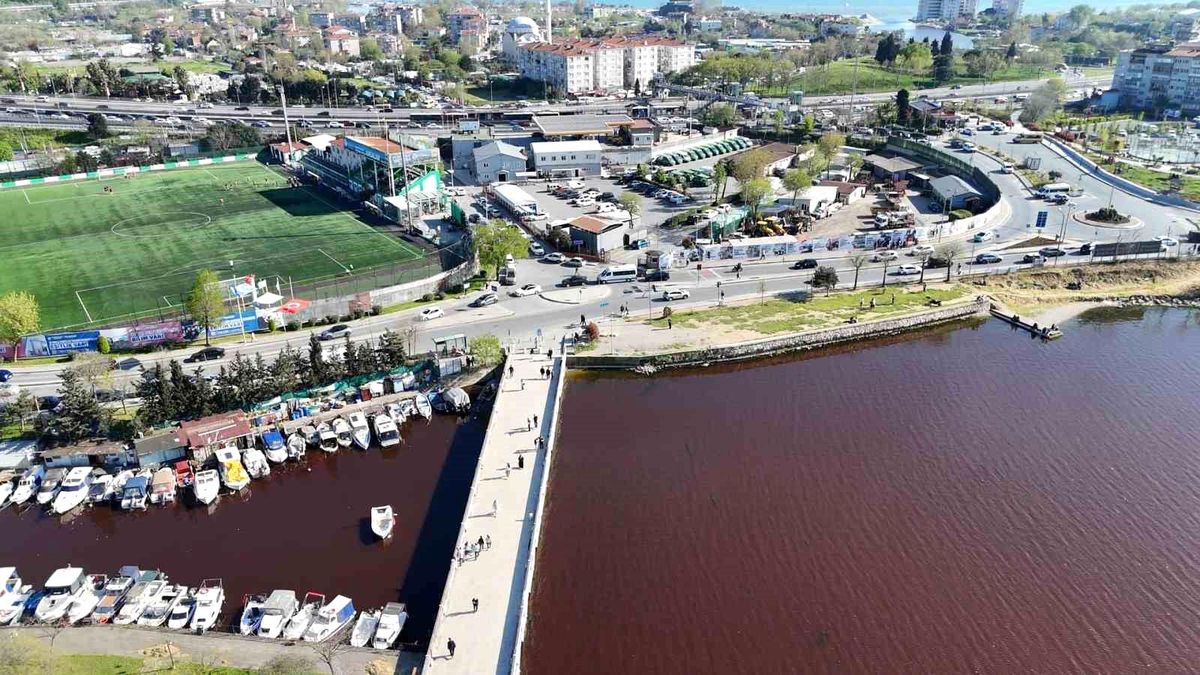İstanbul\'un göbeğindeki gölde korkutan görüntü