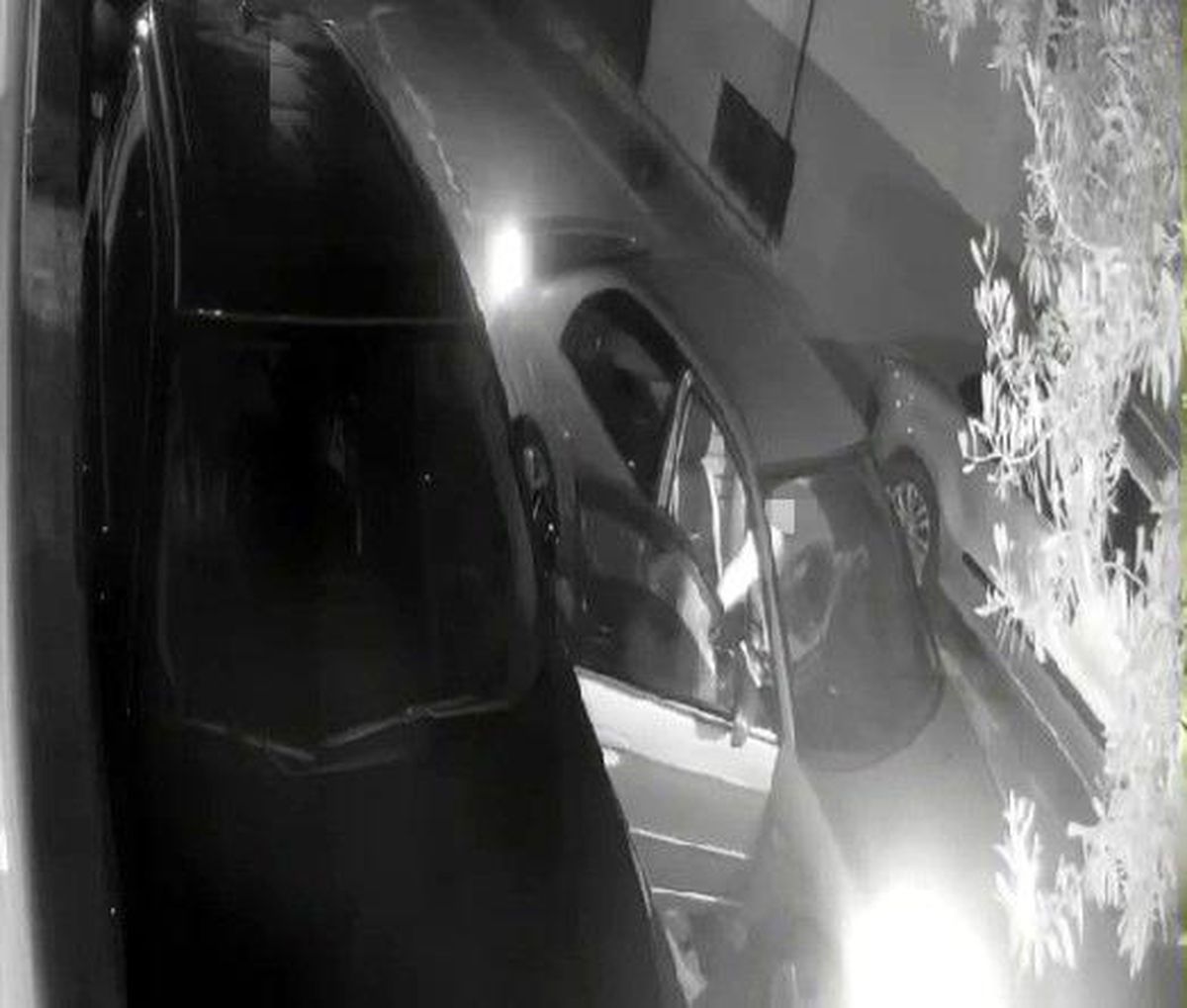 Otomobilden yol kenarına atılan kadının yardım çığlıkları