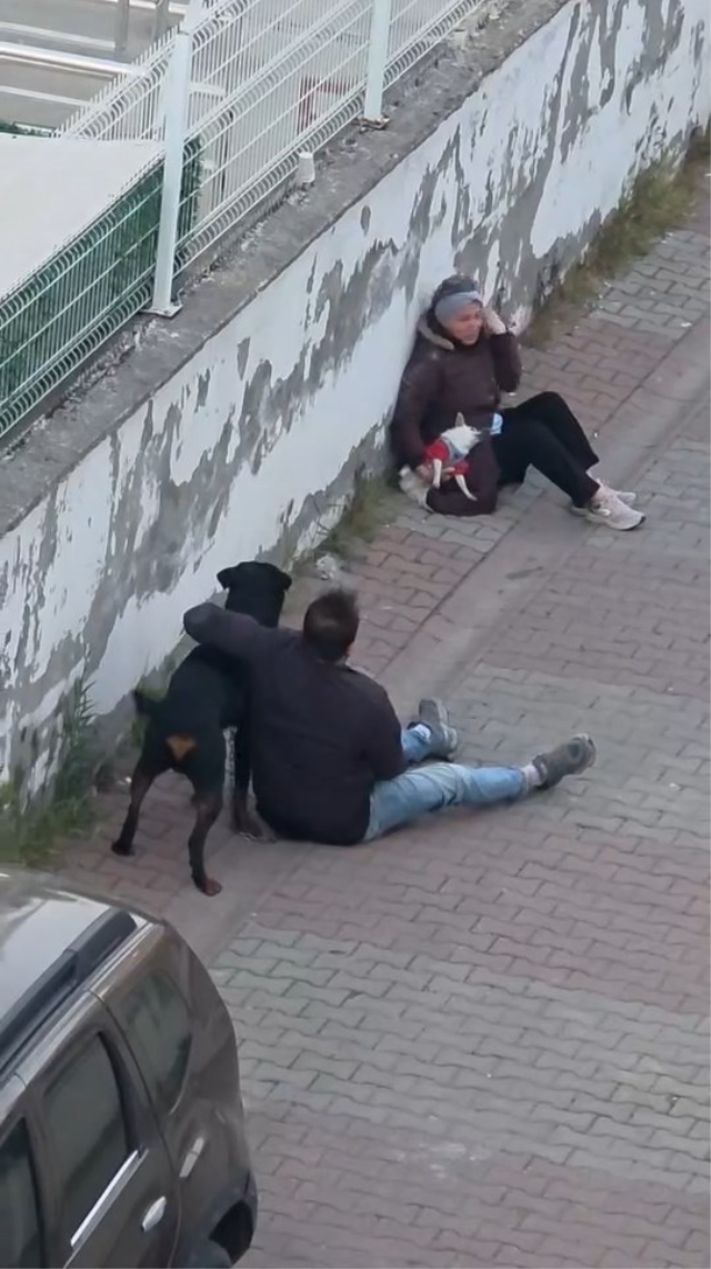 Rottweiler, küçük köpeğe saldırdı! Kadının çığlıkları mahalleyi inletti