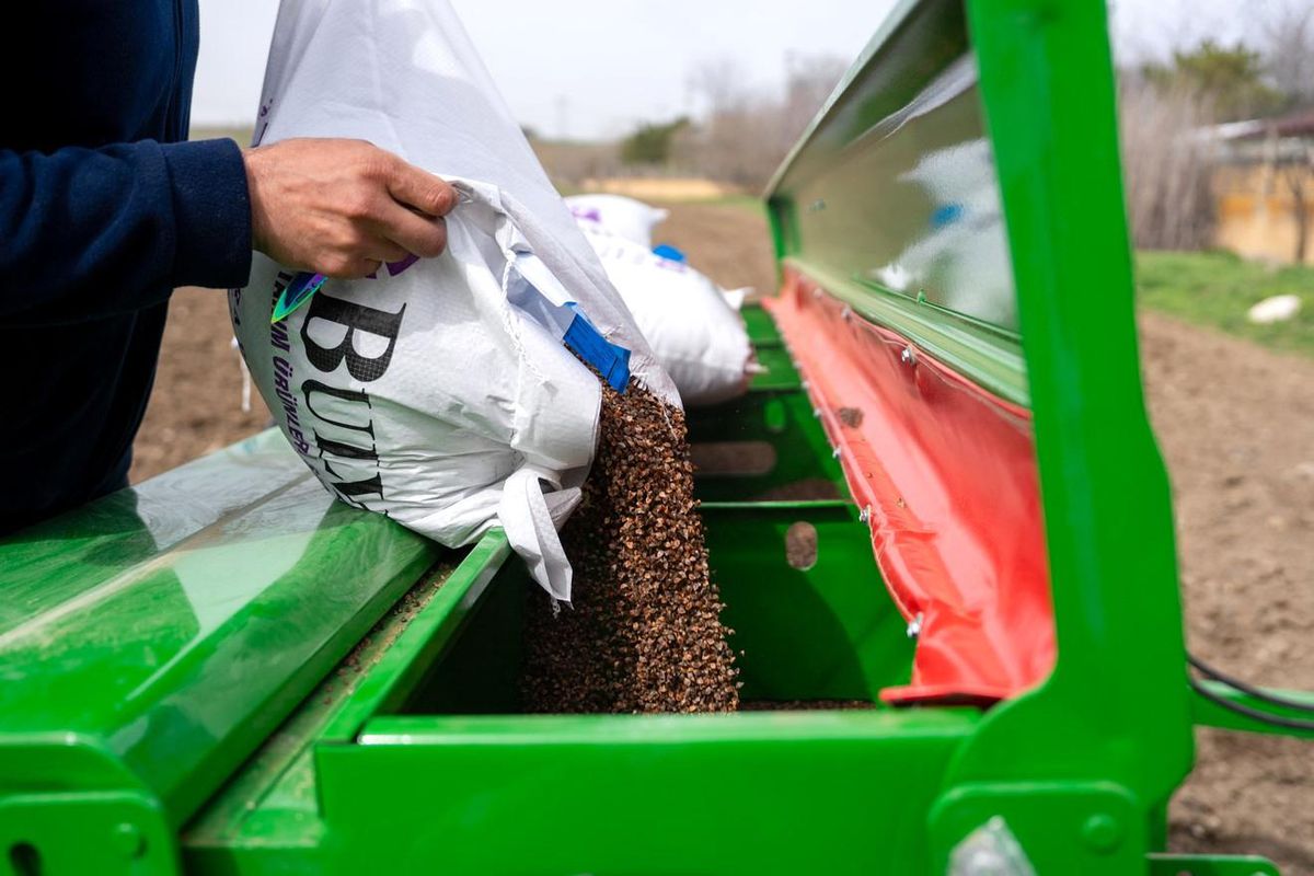 Ankara\'da 2026 karabuğday ekim çalışmaları başladı