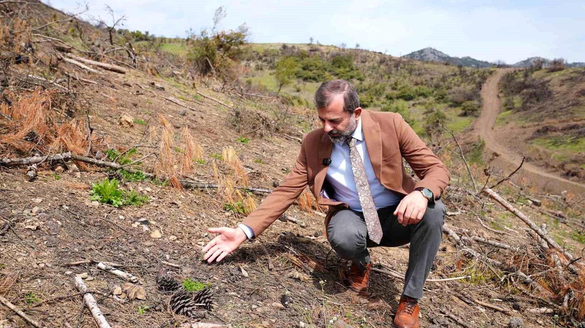 Başkan Işık\'tan yeşil Gürsu çağrısı