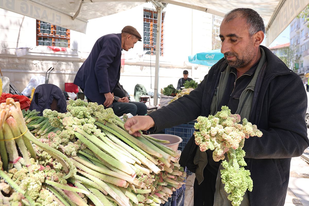 Yılda bir kez çıkıyor, binbir derde şifa oluyor