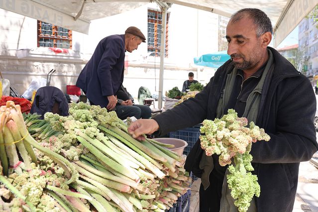 Yılda bir kez çıkıyor, binbir derde şifa oluyor