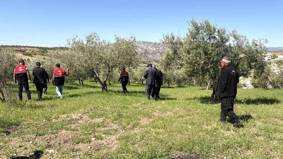 Adıyaman\'da Dolu Yağışı Ağaçları Vurdu